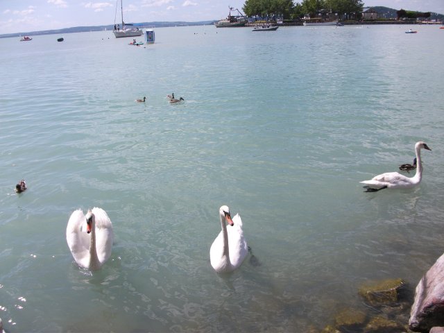 Budapest-Bratislava-Balaton